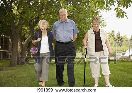 Stock Photo - three seniors walking together in a park; edmonton, alberta, canada. Fotosearch