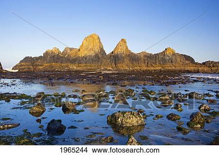 Picture - tide pools along the beach at seal rock state recreation site; oregon united states of america. Fotosearch