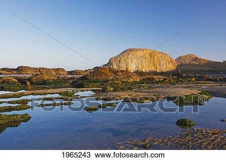tide pools along the beach at seal rock state recreation site; oregon united states of america View Large Photo Image Stock Image - tide pools along the beach at seal rock state recreation site; oregon united states of america. Fotosearch
