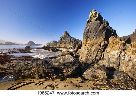 Stock Photo - tide pools along the beach at seal rock state recreation site; oregon united states of america. Fotosearch