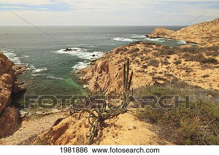 trail along the coastline starting at chileno bay between cabo san lucas and san jose del cabo; baja california sur mexico View Large Photo Image Stock Photograph - trail along the coastline starting at chileno bay between cabo san lucas and san jose del cabo; baja california sur mexico. Fotosearch
