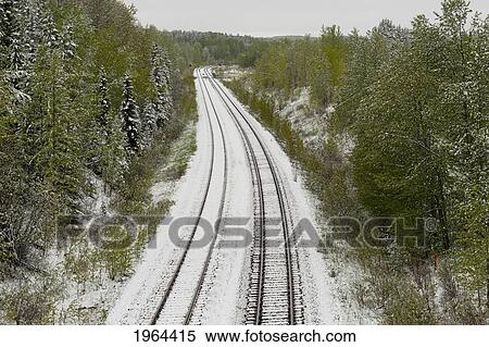 trail tracks lightly covered with snow; alberta, canada View Large Photo Image Stock Photography - trail tracks lightly covered with snow; alberta, canada. Fotosearch