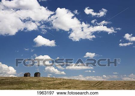 two old sheds in a field; manitoba, canada View Large Photo Image Stock Photo - two old sheds in a field; manitoba, canada. Fotosearch