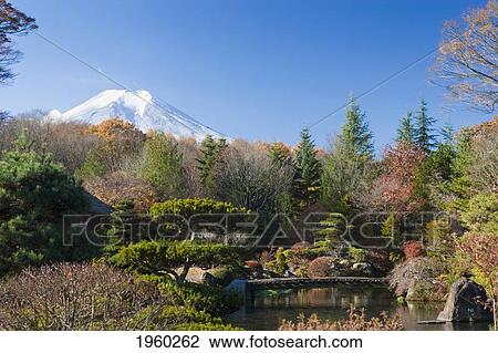 Stock Image - view of mount fuji from a garden; japan. Fotosearch