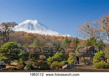view of mount fuji from a japanese garden; japan View Large Photo Image Stock Image - view of mount fuji from a japanese garden; japan. Fotosearch