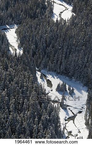 water flowing down the mountain through the snow and forest; whistler, british columbia, canada View Large Photo Image Stock Image - water flowing down the mountain through the snow and forest; whistler, british columbia, canada. Fotosearch