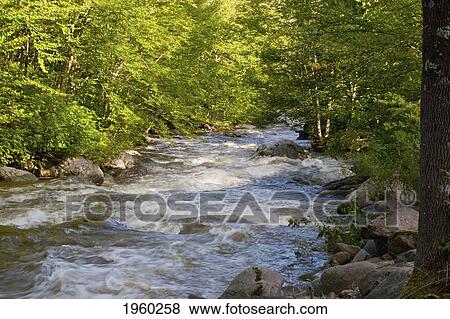 water flowing in duncan river; duncan, quebec, canada View Large Photo Image Stock Photo - water flowing in duncan river; duncan, quebec, canada. Fotosearch