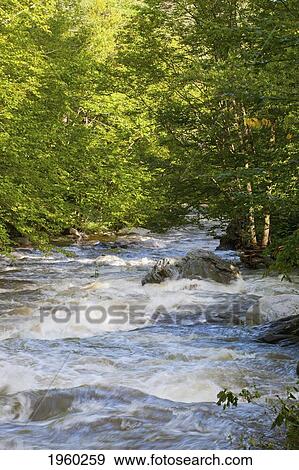 Stock Photo - water flowing in duncan river; duncan, quebec, canada. Fotosearch