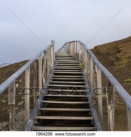 wooden steps going up; galapagos, equador View Large Photo Image Stock Photo - wooden steps going up; galapagos, equador. Fotosearch