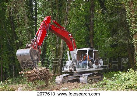 Stock Image - A backhoe works on clearing the forest floor; portland oregon united states of america. Fotosearch