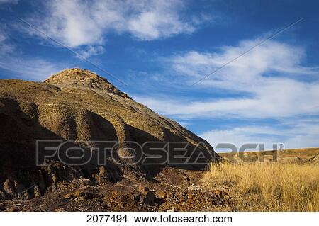 Picture - A barren hill and a field with tall golden grass; drumheller alberta canada. Fotosearch