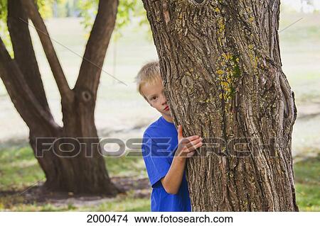 A Boy Hiding Behind A Tree In A Park; Edmonton Alberta Canada View Large Photo Image Picture - A Boy Hiding Behind A Tree In A Park; Edmonton Alberta Canada. Fotosearch