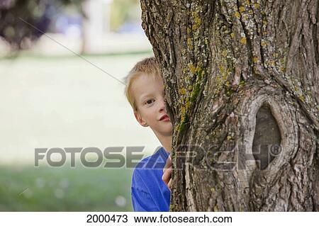 A Boy Hiding Behind A Tree In A Park; Edmonton Alberta Canada View Large Photo Image Stock Image - A Boy Hiding Behind A Tree In A Park; Edmonton Alberta Canada. Fotosearch
