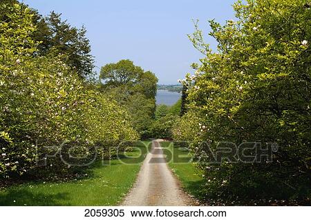 A Dirt Road Lined With Trees At Mount Congreve House And Gardens; County Waterford Ireland View Large Photo Image Stock Photography - A Dirt Road Lined With Trees At Mount Congreve House And Gardens; County Waterford Ireland. Fotosearch