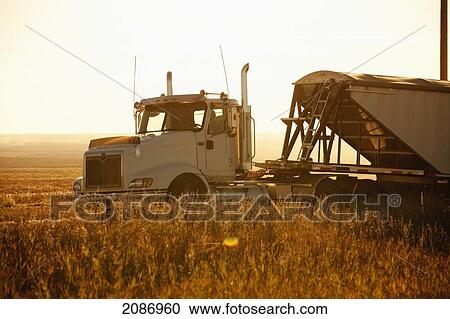 Stock Image - A farm vehicle in a field at dusk; three hills alberta canada. Fotosearch
