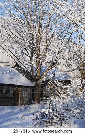 A house in winter; iron hill quebec canada View Large Photo Image Stock Photography - A house in winter; iron hill quebec canada. Fotosearch