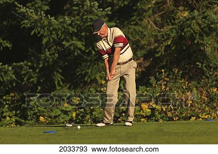 A Man Golfing At Lynnwood Golf Course; Lynnwood Washington United States Of America View Large Photo Image Stock Image - A Man Golfing At Lynnwood Golf Course; Lynnwood Washington United States Of America. Fotosearch