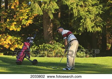 A Man Golfing At Lynnwood Golf Course; Lynnwood Washington United States Of America View Large Photo Image Stock Image - A Man Golfing At Lynnwood Golf Course; Lynnwood Washington United States Of America. Fotosearch