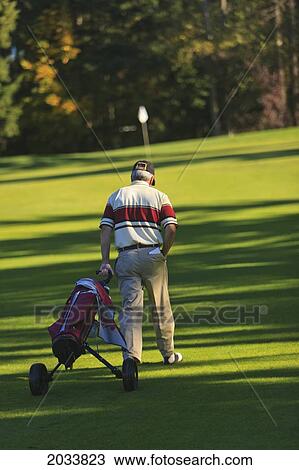 A Man Golfing At Lynnwood Golf Course; Lynnwood Washington United States Of America View Large Photo Image Stock Image - A Man Golfing At Lynnwood Golf Course; Lynnwood Washington United States Of America. Fotosearch