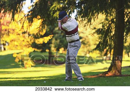 Stock Image - A Man Golfing At Lynnwood Golf Course; Lynnwood Washington United States Of America. Fotosearch