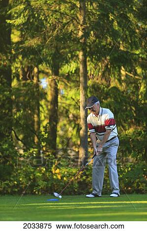A Man Golfing At Lynnwood Golf Course; Lynnwood Washington United States Of America View Large Photo Image Stock Photography - A Man Golfing At Lynnwood Golf Course; Lynnwood Washington United States Of America. Fotosearch
