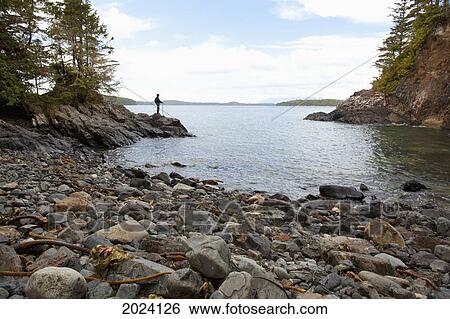 A Man Looks From A Cove Along The Lighthouse Trail; Tofino British Columbia Canada View Large Photo Image Stock Photograph - A Man Looks From A Cove Along The Lighthouse Trail; Tofino British Columbia Canada. Fotosearch