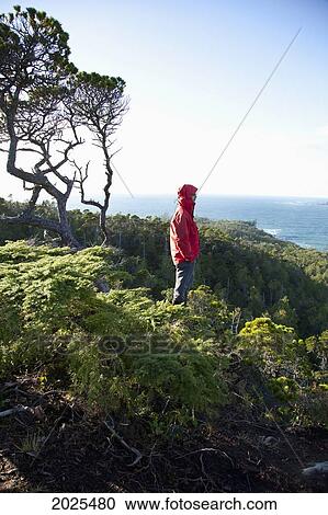 Stock Image - A Man Wearing A Red Jacket Looks Out At The View Of Cox Bay Near Tofino; British Columbia Canada. Fotosearch