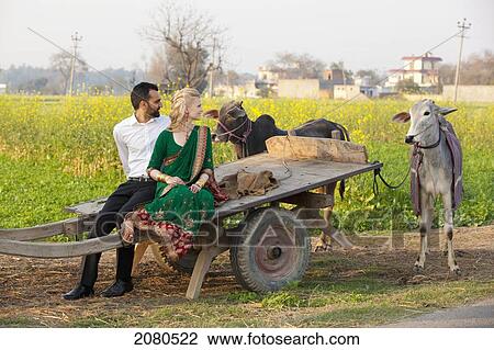 A mixed race couple with her wearing a sari sitting on a wooden cart with cattle tethered to it; ludhiana punjab india View Large Photo Image Stock Image - A mixed race couple with her wearing a sari sitting on a wooden cart with cattle tethered to it; ludhiana punjab india. Fotosearch