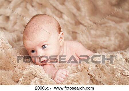A Newborn Baby Laying In A Fuzzy Blanket; Dundas Minnesota United States Of America View Large Photo Image Stock Photo - A Newborn Baby Laying In A Fuzzy Blanket; Dundas Minnesota United States Of America. Fotosearch