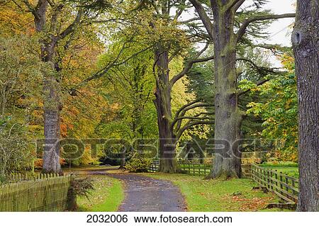 A Path Covered With Fallen Leaves And Trees In Autumn Colours; Scottish Borders Scotland View Large Photo Image Stock Photograph - A Path Covered With Fallen Leaves And Trees In Autumn Colours; Scottish Borders Scotland. Fotosearch