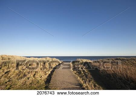 A path leading to the ocean at druridge bay; northumberland england View Large Photo Image Stock Image - A path leading to the ocean at druridge bay; northumberland england. Fotosearch