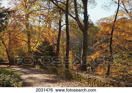 Stock Photograph - A Path Lined With Trees In Autumn Colours; Durham England. Fotosearch