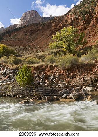 Stock Photograph - A River Flows Through Zion National Park; Utah United States Of America. Fotosearch