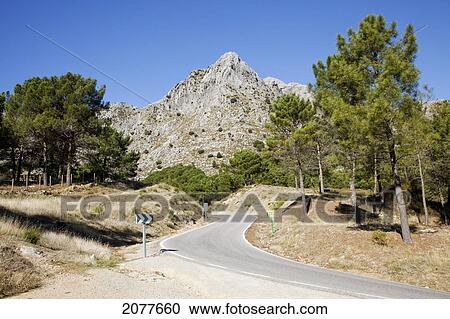 A road and landscape; sierra del pinar andalusia spain View Large Photo Image Stock Image - A road and landscape; sierra del pinar andalusia spain. Fotosearch