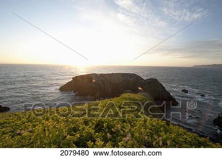 A rock formation along the coast at sunset; newport oregon united states of america View Large Photo Image Stock Image - A rock formation along the coast at sunset; newport oregon united states of america. Fotosearch