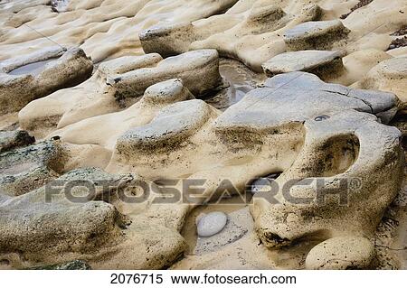 Stock Photography - A rock sits in a clear shallow water pool surrounded by unique rock formations; south shields tyne and wear england. Fotosearch