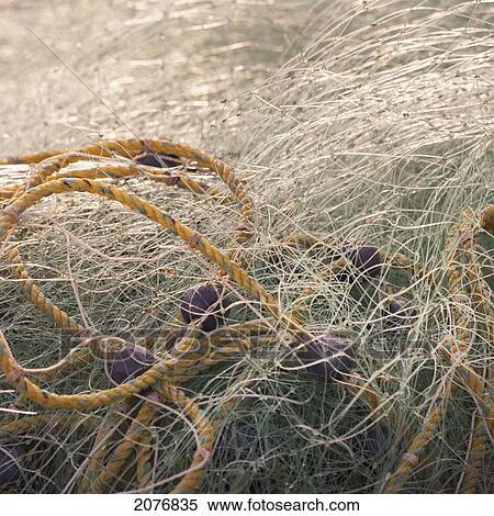 A rope entwined in fishing net; sayulita mexico View Large Photo Image Stock Photography - A rope entwined in fishing net; sayulita mexico. Fotosearch