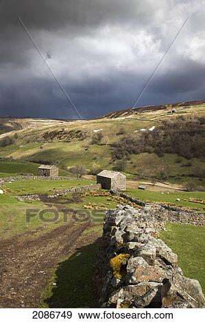 Stock Photo - A stone wall curving through the landscape under storm clouds; swaledale england. Fotosearch