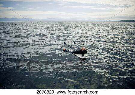 A surfer lays on his back on his surfboard in the water; victoria british columbia canada View Large Photo Image Stock Photo - A surfer lays on his back on his surfboard in the water; victoria british columbia canada. Fotosearch