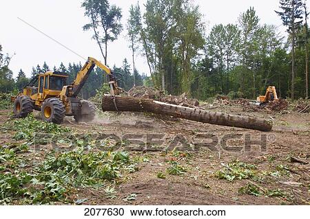 A tractor with grapple moving a log; portland oregon united states of america View Large Photo Image Stock Image - A tractor with grapple moving a log; portland oregon united states of america. Fotosearch