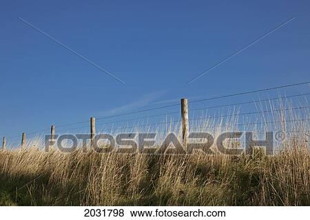 Stock Photo - A Wire Fence Against A Blue Sky; Northumberland England. Fotosearch