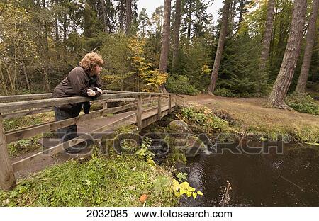 A Woman Stands On A Wooden Bridge Looking Over Into The Water Below; Northumberland England View Large Photo Image Stock Photography - A Woman Stands On A Wooden Bridge Looking Over Into The Water Below; Northumberland England. Fotosearch