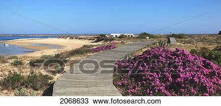 Stock Image - A Wooden Boardwalk On Barreta Island; Algarve Portugal. Fotosearch