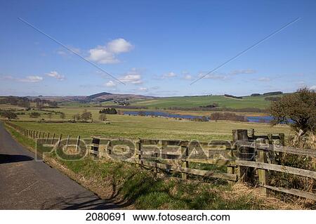 A wooden fence and river along a rural road; rothbury northumberland england View Large Photo Image Stock Image - A wooden fence and river along a rural road; rothbury northumberland england. Fotosearch