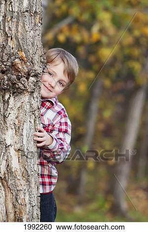Stock Image - A Young Boy Hiding Behind A Tree In Autumn; Edmonton Alberta Canada. Fotosearch