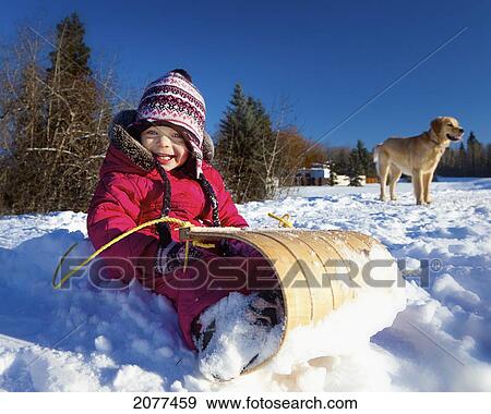 A young girl sits on a toboggan in the snow with a dog in the background; spruce grove alberta canada View Large Photo Image Stock Photo - A young girl sits on a toboggan in the snow with a dog in the background; spruce grove alberta canada. Fotosearch