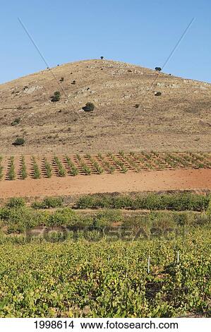 Picture - Agricultural Landscape Near Nuevalos; Zaragoza Province Aragon Spain. Fotosearch