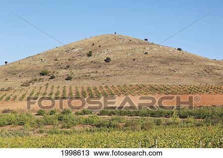 Agricultural Landscape Near Nuevalos; Zaragoza Province Aragon Spain View Large Photo Image Stock Image - Agricultural Landscape Near Nuevalos; Zaragoza Province Aragon Spain. Fotosearch