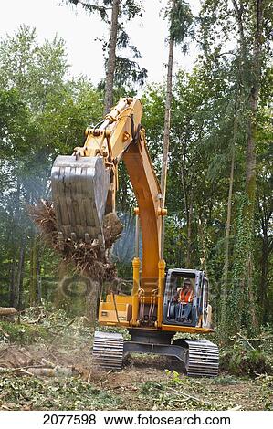 An excavator moves branches off the forest floor; portland oregon united states of america View Large Photo Image Stock Photo - An excavator moves branches off the forest floor; portland oregon united states of america. Fotosearch