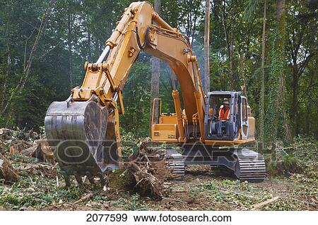 An excavator moves branches off the forest floor; portland oregon united states of america View Large Photo Image Stock Photo - An excavator moves branches off the forest floor; portland oregon united states of america. Fotosearch
